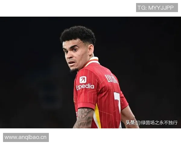 费迪南德分析加克波与迪亚斯的差距利物浦新援尚需时间融入球队